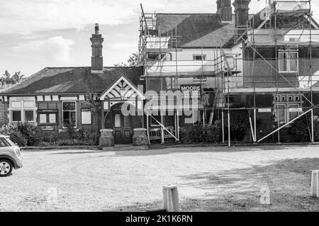 Bluebell Railway e dintorni nel Sussex orientale. Foto Stock