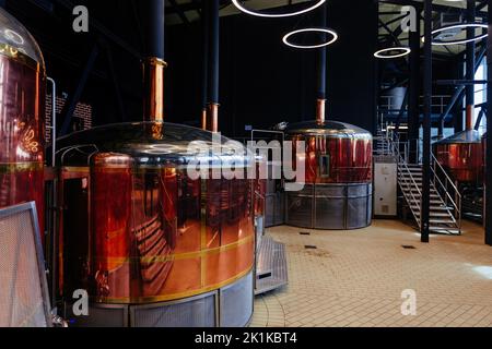 Moderna birreria. Linea di produzione della birra Crafr. Foto Stock