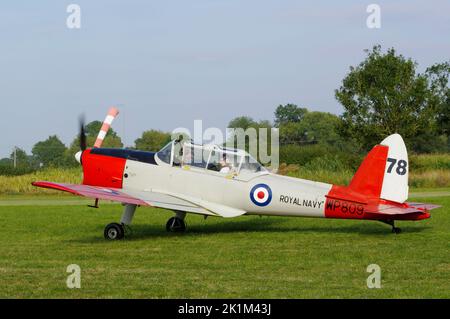 De Havilland Canada Chippmunk T.10, WP809, G-BVTX, The Victory Show, Foxlands Farm, Cosby, Leicestershire, Inghilterra, Foto Stock