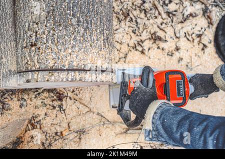 Primo piano di motosega di lumberjack segando un grande albero grezzo che giace sul terreno, segatura che vola ai lati. Il concetto di tagliare alberi. Foto Stock