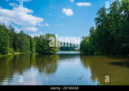 Germania, lago Ebnisee acqua natura scenario tra alberi verdi di foresta vicino a welzheim e kaisersbach villaggio in estate Foto Stock