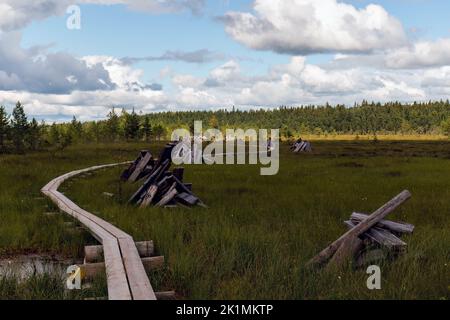 Sentiero per duckboard che conduce attraverso la palude nel Parco Nazionale di Torronsuo, Finlandia, con pile di vecchie tavole di legno accanto ad esso Foto Stock