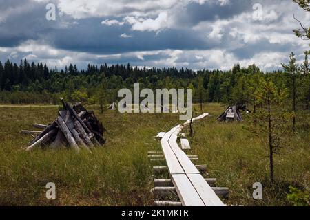 Sentiero per duckboard che conduce attraverso la palude nel Parco Nazionale di Torronsuo, Finlandia, con pile di vecchie tavole di legno accanto ad esso Foto Stock