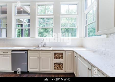 Casa di lusso con soffitto a volta, ripiani in granito, elettrodomestici in acciaio inossidabile, pavimenti in legno duro Foto Stock