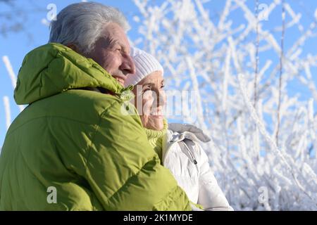 Bella coppia anziana insieme gioire in inverno Foto Stock