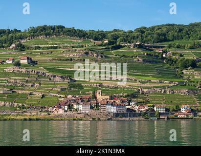 Villaggio di San Saphorin e terrazze di Lavaux al Lago di Ginevra Foto Stock