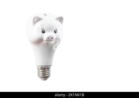 Lampadina a forma di grattolo di porcellana bianca, isolata su bianco, messa a fuoco morbida Foto Stock