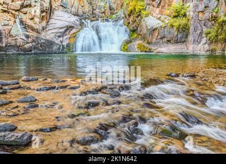 Cascata lungo tenderfoot creek nel piccolo belt le montagne vicino al bianco delle molle di zolfo, montana Foto Stock