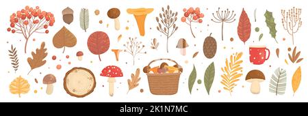 Set autunno. Raccolta di foglie cadute, ortaggi, bacche, ghiande, funghi forestali, rami di albero isolati su sfondo bianco. Elegante Illustrazione Vettoriale