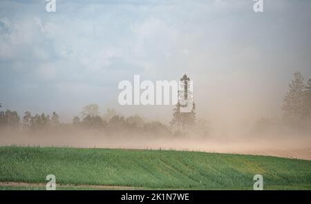 Tempesta di sabbia su terreni agricoli. Silenzio e vento che soffia una nuvola di polvere. L'impatto della siccità sulle colture e sull'agricoltura in Europa. Foto Stock