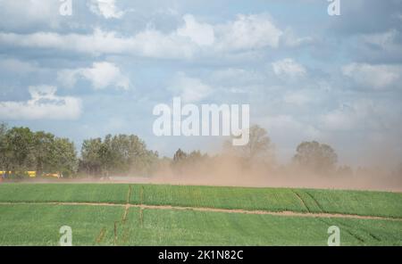 Tempesta di sabbia su terreni agricoli. Silenzio e vento che soffia una nuvola di polvere. L'impatto della siccità sulle colture e sull'agricoltura in Europa. Foto Stock