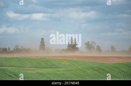 Tempesta di sabbia su terreni agricoli. Silenzio e vento che soffia una nuvola di polvere. L'impatto della siccità sulle colture e sull'agricoltura in Europa. Foto Stock