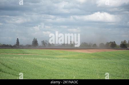 Tempesta di sabbia su terreni agricoli. Silenzio e vento che soffia una nuvola di polvere. L'impatto della siccità sulle colture e sull'agricoltura in Europa. Foto Stock