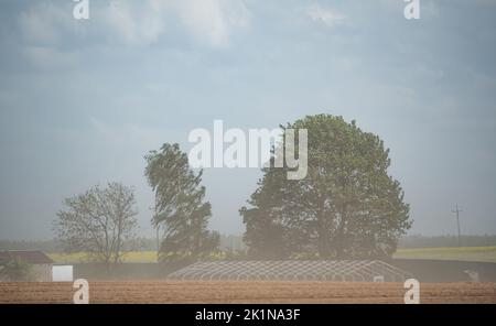 Tempesta di sabbia su terreni agricoli. Silenzio e vento che soffia una nuvola di polvere. L'impatto della siccità sulle colture e sull'agricoltura in Europa. Foto Stock