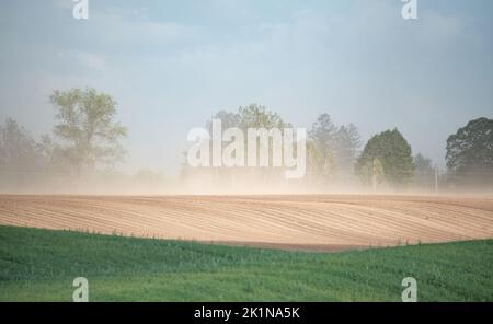 Tempesta di sabbia su terreni agricoli. Silenzio e vento che soffia una nuvola di polvere. L'impatto della siccità sulle colture e sull'agricoltura in Europa. Foto Stock