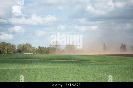 Tempesta di sabbia su terreni agricoli. Silenzio e vento che soffia una nuvola di polvere. L'impatto della siccità sulle colture e sull'agricoltura in Europa. Foto Stock