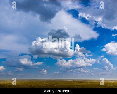 Splendide nuvole cumulonimbus sul paesaggio rurale giallo / verde con cielo blu profondo. Foto Stock