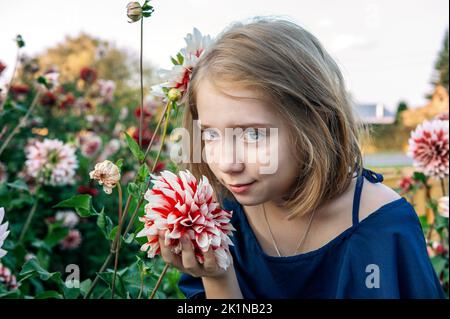 ragazza di 13 anni con un fiore di dahlia. Ritratto di una ragazza che ammira un bouquet di enormi fiori di dahlia rossi e rosa in fiore. Una ragazza gode della vista di f Foto Stock