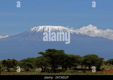 Snowcap di mt Kilimanjaro Foto Stock