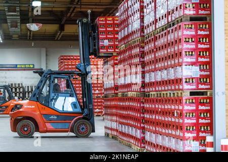 Grafenhausen, Germania. 19th Set, 2022. Un dipendente di un carrello elevatore a forche accatasta casse di birra l'una sull'altra nei locali della birreria Rothaus. La Badische Staatsbrauerei Rothaus AG vuole diventare positiva per il clima entro il 2030 e sta installando un impianto fotovoltaico su larga scala sui suoi tetti come parte di questo sforzo. Credit: Philip von Ditfurth/dpa/Alamy Live News Foto Stock