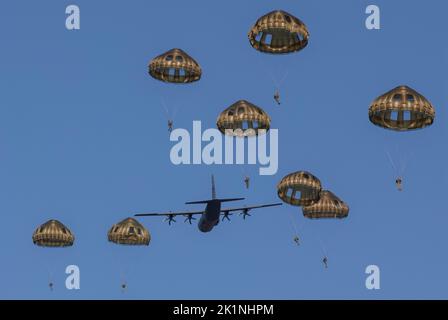 Arnhem, Paesi Bassi. 17 Settembre 2022. L'esercito degli Stati Uniti e i paracadutisti europei scendono nella Drop zone da un aereo dell'aeronautica statunitense C-130 durante l'esercizio Falcon Leap alla Ginkelse Heide Drop zone, 17 settembre 2022 ad Arnhem, Paesi Bassi. Più di 1000 paracadutisti di 13 nazioni partecipano all'esercizio della NATO di due settimane. Credit: S1c Austin Berner/US Army Photo/Alamy Live News Foto Stock