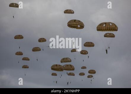 Arnhem, Paesi Bassi. 17 Settembre 2022. L'esercito degli Stati Uniti e i paracadutisti europei scendono nella Drop zone da un aereo dell'aeronautica statunitense C-130 durante l'esercizio Falcon Leap alla Ginkelse Heide Drop zone, 17 settembre 2022 ad Arnhem, Paesi Bassi. Più di 1000 paracadutisti di 13 nazioni partecipano all'esercizio della NATO di due settimane. Credit: S1c Austin Berner/US Army Photo/Alamy Live News Foto Stock