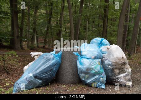 Rifiuti nella foresta, Polonia © Wojciech Strozyk / Alamy Stock Photo *** Didascalia locale *** Foto Stock