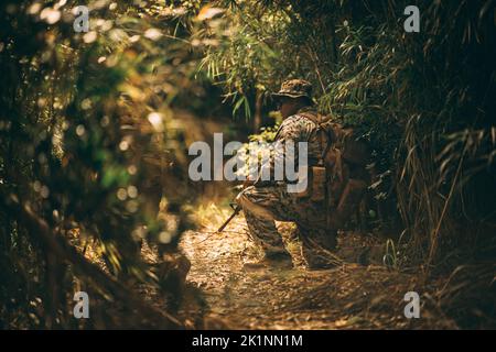 Corpo marino statunitense Lance CPL. Iybin Delacruzchino, un fucile con Ground Sensor Platoon, 3rd Intelligence Battalion, III Marine Expeditionary Force Information Group, detiene la sicurezza durante un esercizio sul campo presso il Jungle Warfare Training Center, Camp Gonsalvez, Okinawa, Giappone, 14 settembre, 2022. Il GSP è un’unità specializzata scalabile la cui missione è raccogliere le firme nemiche al fine di fornire ai comandanti della Task Force Marine Air Ground un allarme avanzato sugli attacchi offensivi, contrastare la ricognizione nemica e aiutare nella protezione della forza. (STATI UNITI Corpo marino foto di personale Sergente Manuel A. Serrano) Foto Stock