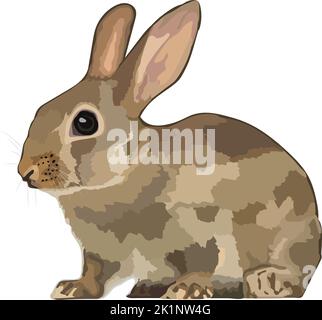 Bella coniglio icona realistica vettore animale selvatico. Illustrazione Vettoriale