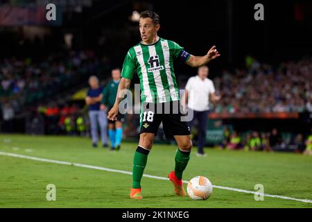 Siviglia, Siviglia, Spagna. 15th Set, 2022. Andres Guardado di Real Betis controlla la palla durante la partita di tappa del Gruppo C della UEFA Europa League tra Real Betis e Ludogorets Razgrad allo stadio Benito Villamarin il 15 settembre 2022 a Siviglia, Spagna. (Credit Image: © Jose Luis Contreras/DAX via ZUMA Press Wire) Foto Stock