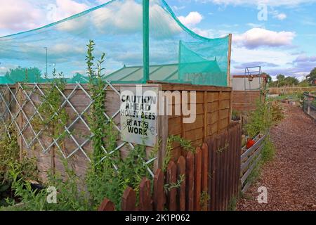 Apicoltura, GAFA, Glossopdale Action for allotments, Gamesley Estate, Melandra Castle Road, Gamesley, High Peak, Inghilterra, REGNO UNITO, SK13 0BN Foto Stock