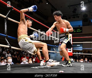 Tokyo, Giappone. 13th Set, 2022. Keisuke Matsumoto (guanti rossi) bussa Ryota Ishida (guanti blu) nel secondo turno durante il bout di pesi piuma del 8R alla Korakuen Hall di Tokyo, Giappone, 13 settembre 2022. Credit: Hiroaki Finito Yamaguchi/AFLO/Alamy Live News Foto Stock