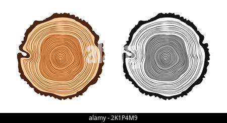 Tagli di tronco di albero tondo in vari colori, segato pino o fette di quercia, legname. Legname tagliato da poco, legno. Struttura di legno marrone con anelli di albero. Disegnato a mano Illustrazione Vettoriale