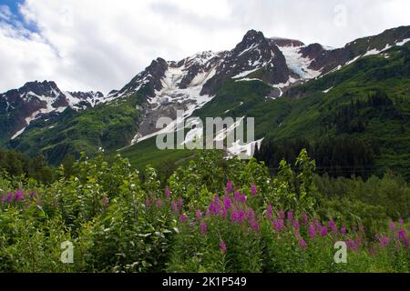 Una vista panoramica delle montagne nel Bear Glacier Provincial Park lungo il percorso 37A tra il lago Meziadin e Stewart, nella parte settentrionale del British Columbia, Canada Foto Stock