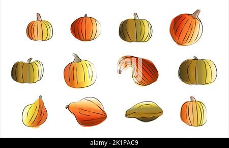 Impostare zucche acquerello. Illustrazione vettoriale in stile pittura ad acquerello. Elementi di design per il giorno del Ringraziamento o il festival del raccolto. Illustrazione Vettoriale