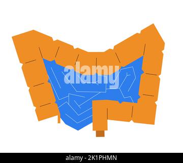 Tabella medica dell'intestino in stile geometrico semplice. Concetto di anatomia umana Illustrazione Vettoriale