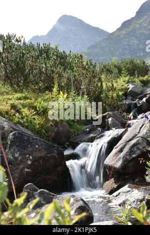 Un ruscello con grandi rocce sulla montagna Foto Stock
