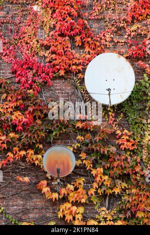 Antenne paraboliche su una parete con colori autunnali Foto Stock