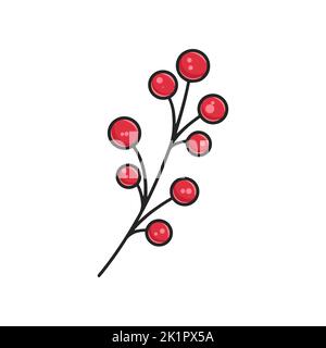 Rowan twig naturale bella decorazione clipart Illustrazione Vettoriale