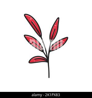 Bellissimo rametto verde rowan decorazione naturale clipart Illustrazione Vettoriale