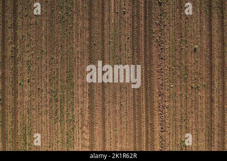 Scatto aereo del campo di semina del granoturco dal drone pov direttamente sopra con i cingoli dei pneumatici del trattore nel terreno come sfondo agricolo Foto Stock