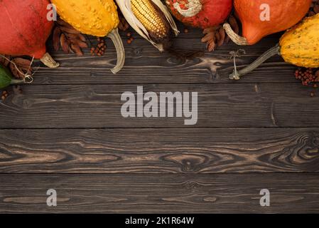 Sfondo con decorazioni autunnali festive da zucche, zucche decorative e mais. Concetto di giorno del Ringraziamento o Halloween con spazio di copia per il testo Foto Stock