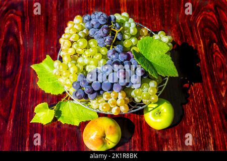 Recipiente di frutta sul tavolo. Grappoli di uve verdi e nere e mele, appena raccolte. Foto Stock