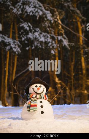 Biglietto di Natale con simpatico pupazzo di neve nel parco innevato serale Foto Stock