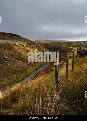 L'arrivo dell'autunno nello Yorkshire - un sentiero che si curva in lontananza nell'erica viola e nell'erba dorata di un burrone, sotto un cielo sovrastato. Foto Stock