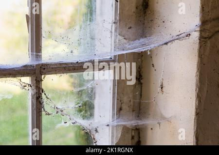 Primo piano di vecchie ciottoli in una finestra di un edificio derelitto Foto Stock