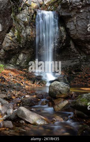 Cascata nella foresta vergine di Frakto in Macedonia, Grecia Foto Stock