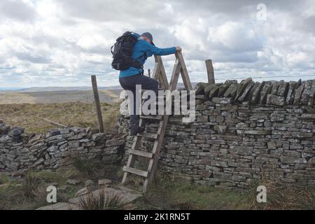 Lone Man Climbing Scaletta di legno piastrella sopra il muro di pietra vicino alla cima di 'Buckden Pike' a Wharfedale, Yorkshire Dales National Park, Inghilterra, Regno Unito. Foto Stock