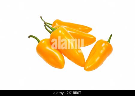 Gruppo di peperoni gialli caldi di jalape o isolati su uno sfondo bianco. Foto Stock