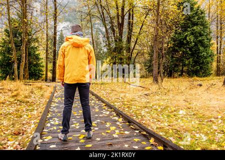 Escursioni turistiche nel Parco Nazionale di Yosemite al nuvoloso autunno mattina. Foglie autunnali gialle cadute sul lungomare. California, USA.; Shutterstock ID 717 Foto Stock